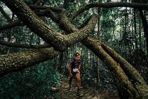 BIB: 
                            <button type="button" onclick="openModal(25664398)" class="btn btn-primary btn-sm float-right btn-popup" data-toggle="modal" data-target=".modal-high-quality">
                        <i class="fas fa-shopping-cart"></i> Add to Cart
                    </button>
                                            <button type="button" onclick="isThisMe(25664398, true)" class="btn btn-success btn-sm float-right btn-popup btn-isme hidden" data-toggle="tooltip" data-placement="bottom" title="นี่คือรูปของคุณใช่ไหม คลิกที่นี่เพื่อเอาเข้าอัลบั้ม">
                        <i class="fas fa-plus"></i> Add to album
                    </button>
                    <button type="button" onclick="isThisMe(25664398, false)" class="btn btn-warning btn-sm float-right btn-popup btn-isnotme hidden">
                        <i class="fas fa-ban"></i> Remove from album
                    </button>